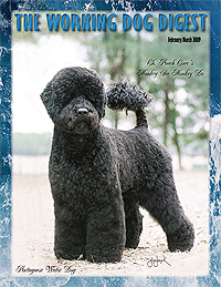 Feb/Mar 2009 Cover