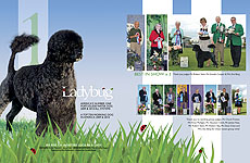 Double-page color ad