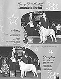 Single-page B&W ad